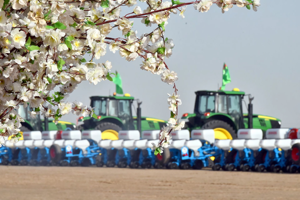 Cotton sowing campaign started in Turkmenistan