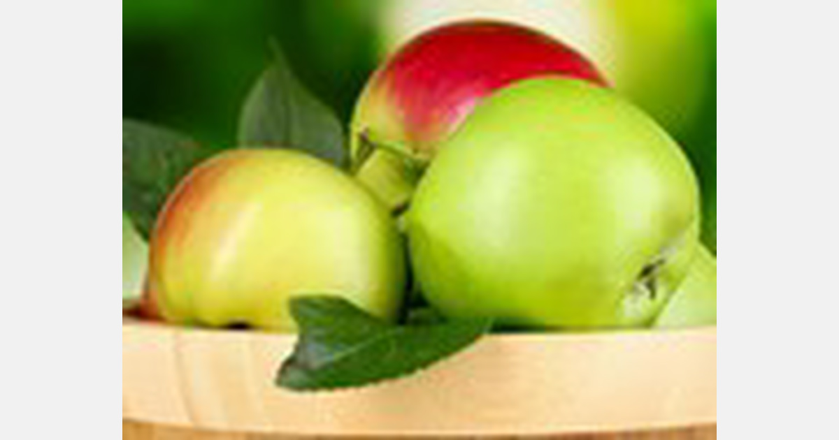 Turkmenistan keeps rapidly increasing apple imports